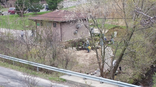 Winton Rain Garden (12)